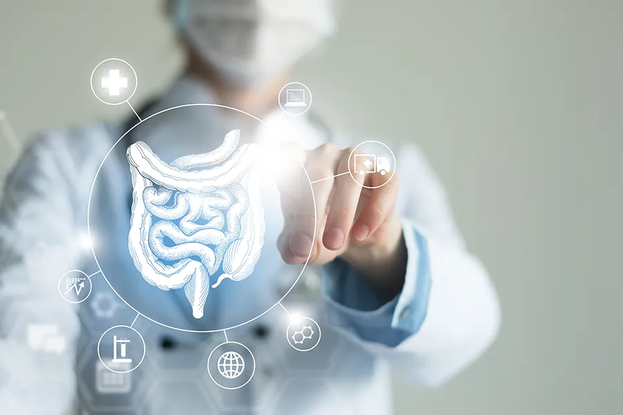 A medical professional studies a 3D illustration of the digestive system. Get treatment for Leaky Gut Syndrome from Blue Skye Health and Wellness in Tampa.